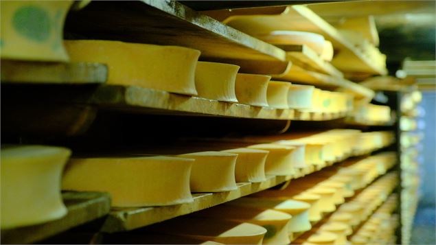 Regards croisés sur les alpages : projections et échanges d’experts_Abondance - Pôle Culturel d'Abon
