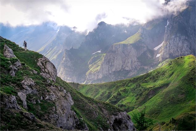Trail des Hauts Forts 2018 - Cyrille Quintard