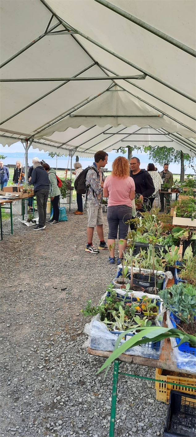 Troc des cultures - Mairie de Publier