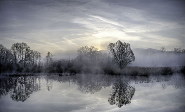 Etang de Crosagny - Clément Bernard