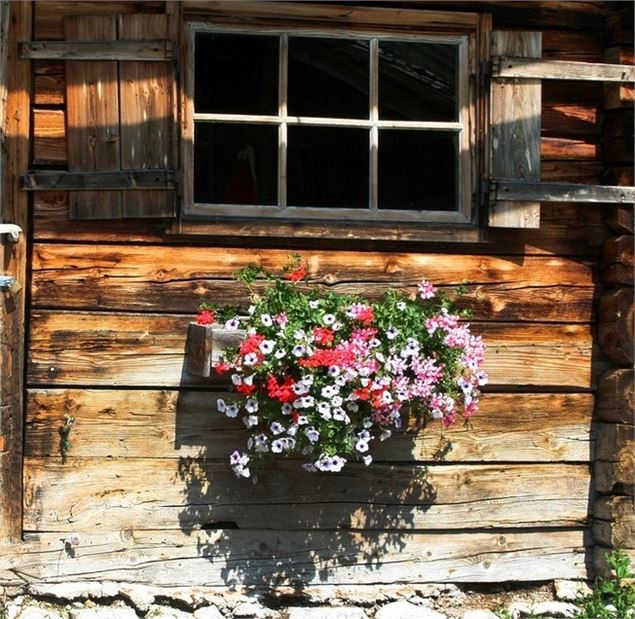 Fleurs - © Ecole de Musique de Cordon