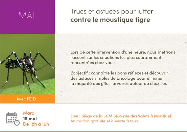 Astuces pour lutter contre le moustique-tigre - 3CM