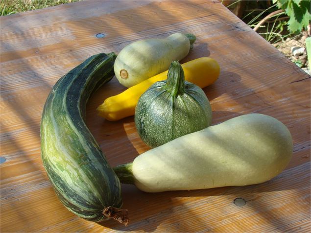 Potager - Association ChloroFill