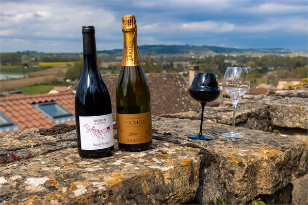 Ateliers dégustation au domaine Trichon - Vincent Maistre Bazin / Plaine de l'Ain Tourisme