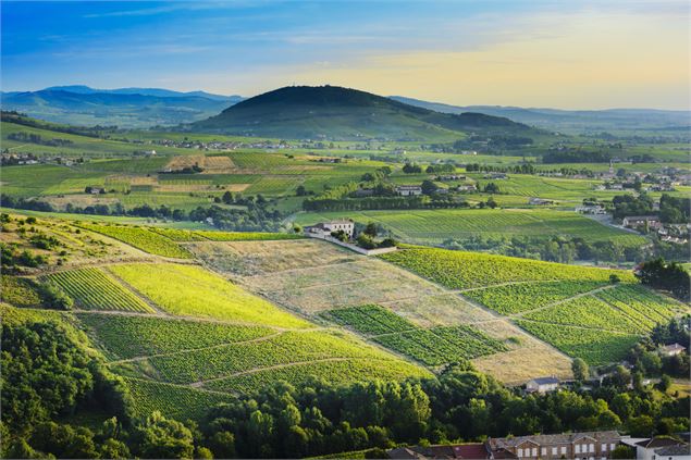 Beaujolais - ©Bauges-PNRMB