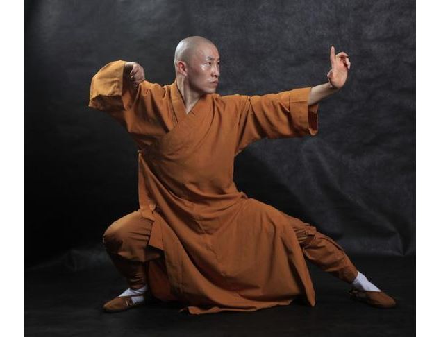 Stage national Moine Shaolin Divonne - AKFSD