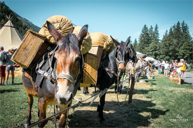 Fête du Mulet_Les Contamines-Montjoie - Les Contamines Tourisme