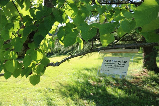 Arbres et nature au Domaine de la Garde_Bourg-en-Bresse - ©Morgane Monneret