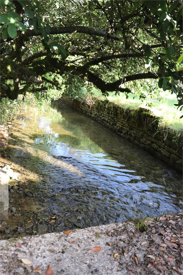 Fil de l'eau 2 - ©OTGBA - D.R.