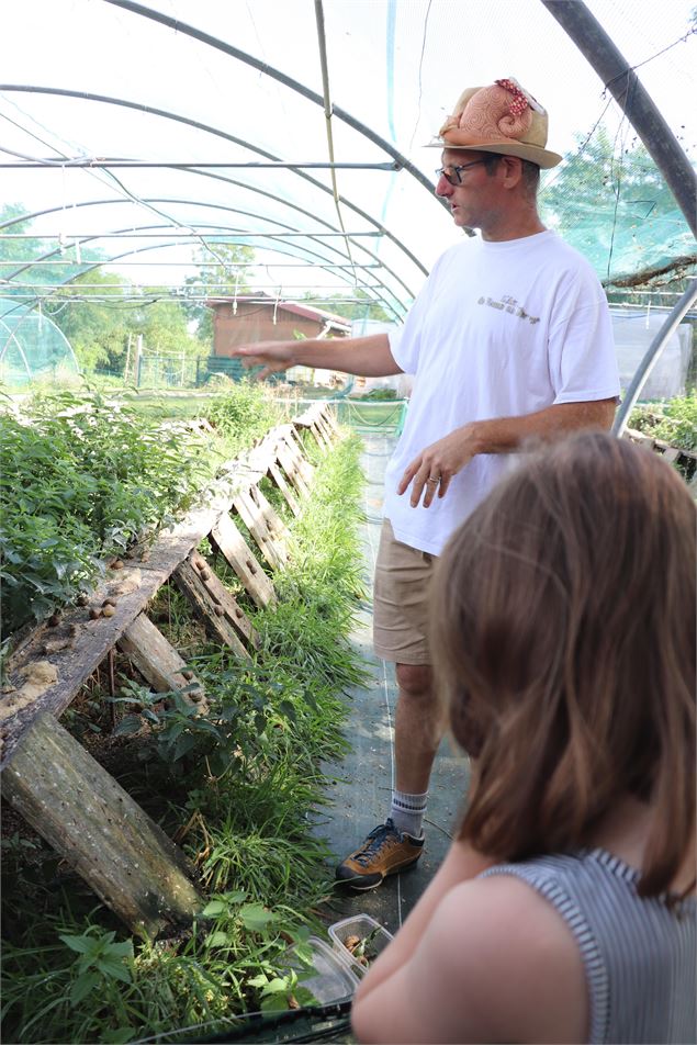 Visite-dégustation au Domaine de l'escargot_Servas - ©OTGBA - D.R.