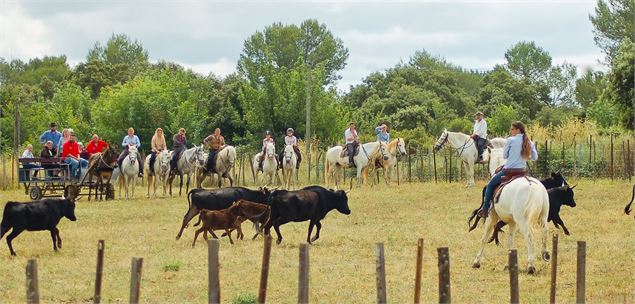 Feria de la Bergerie de l'étoile_Fontcouverte-la Toussuire - OT Corbier