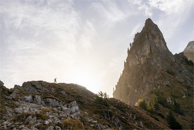 Trail du Grammont