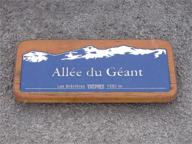 Tignes-Les Brévières : des noms de rues originaux - DD-FACIM