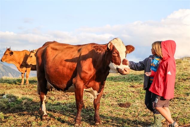 Enfants à la rencontre des vaches - OT SSA