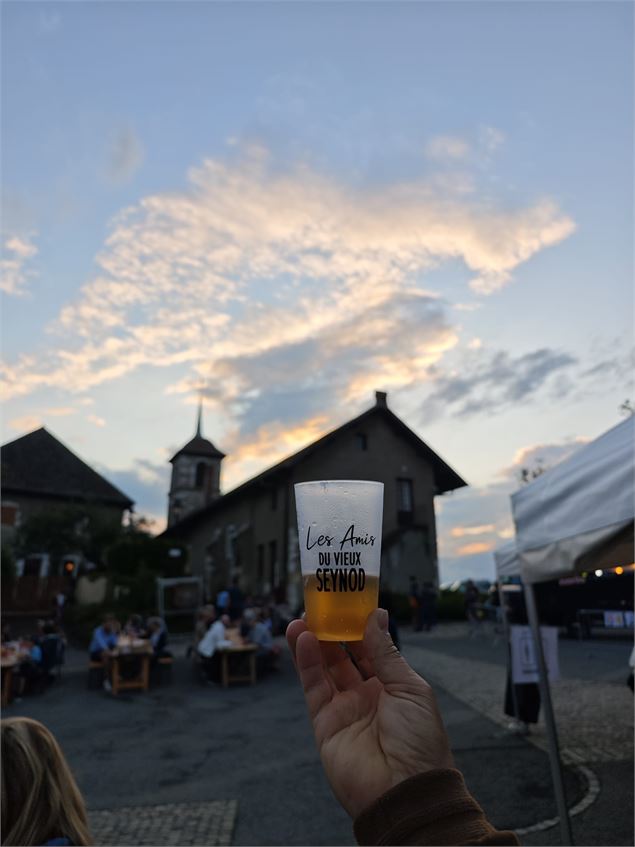 Festival Zik'en Butte_Annecy - Les Amis du Vieux Seynod
