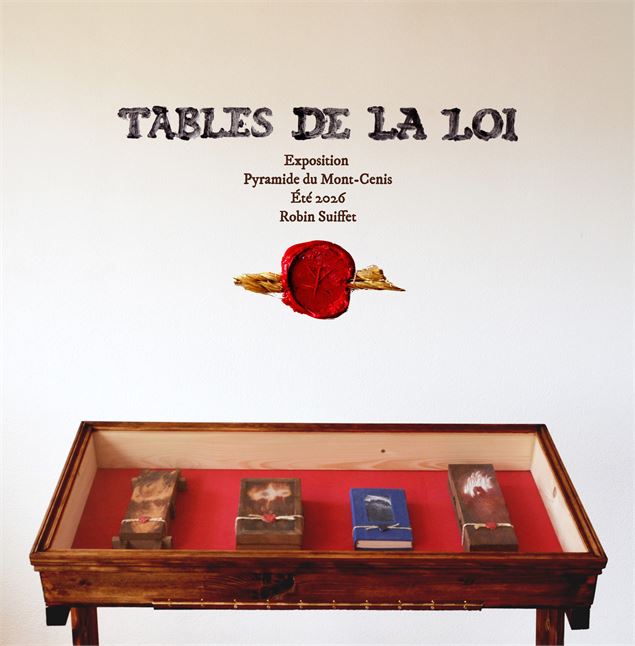 Affiche de l'exposition - Robin Suiffet