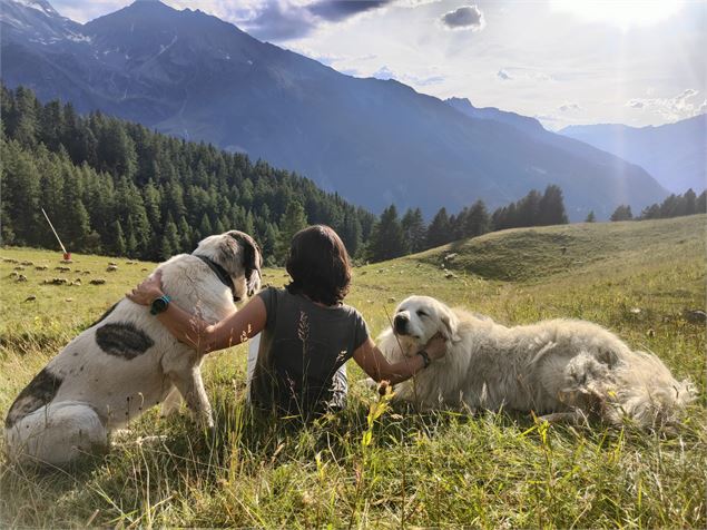 Rencontre avec les bergers_Sainte-Foy-Tarentaise
