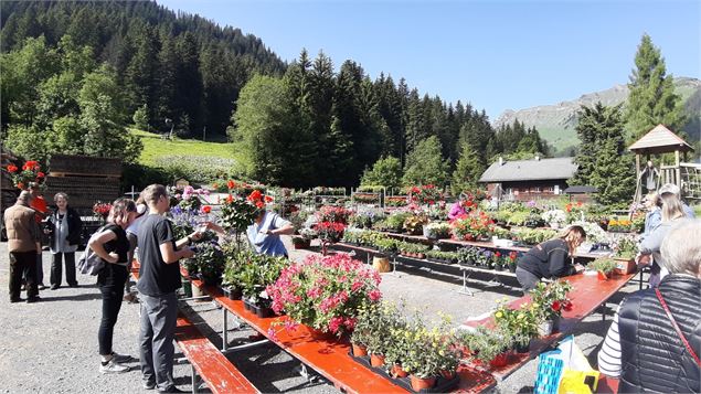 Marché aux fleurs | Morgins_Morgins - Laurence Leuba