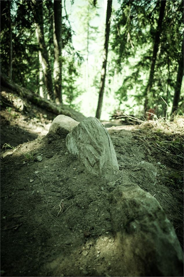 Une matinée pour la montagne