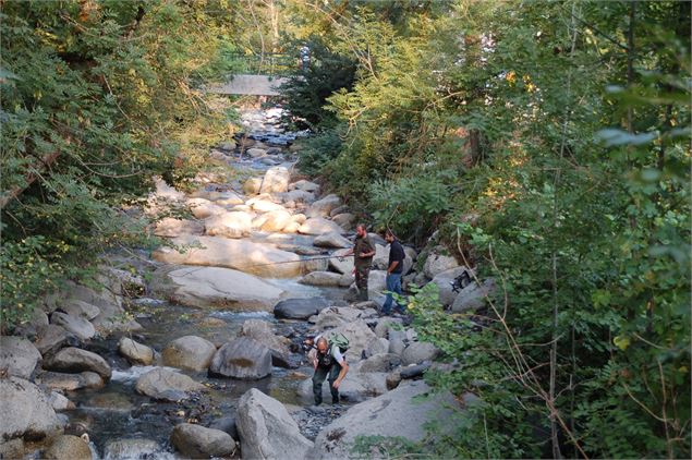 concours de pêche dans la Sallanche