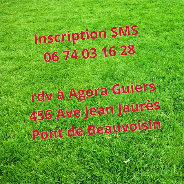 Cours de gym sensorielle Feldenkrais Gratuit - Choune