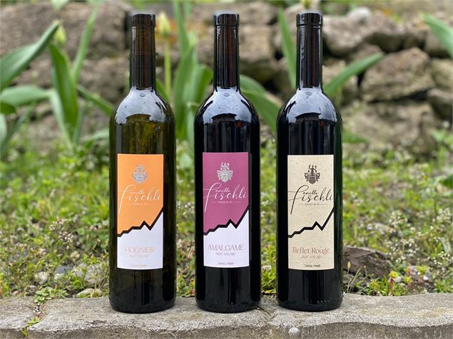 Découverte du vignoble de la Vallée d'Illiez et dégustation de vins_Troistorrents