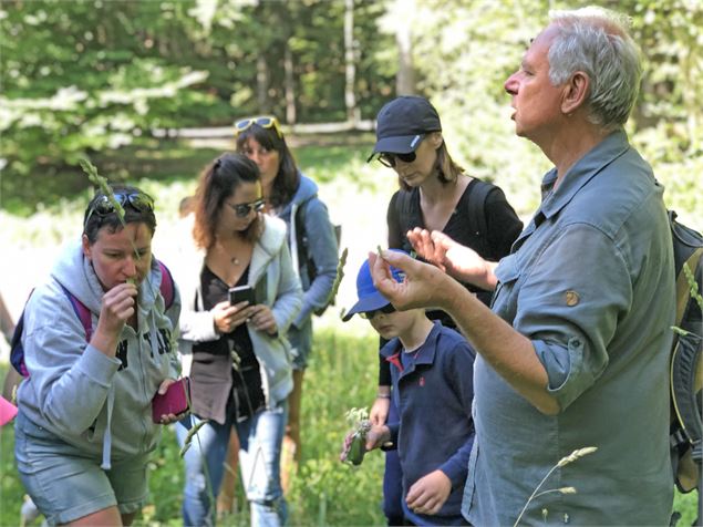 Balade familiale: Découverte des plantes sauvages_Morzine