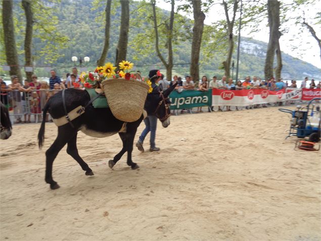 Ferme du Haut-Bugey à Nantua