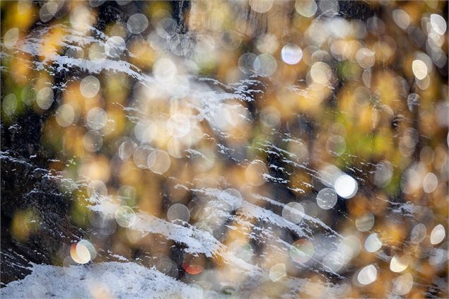 CINÉCIMES : Exploration photographique en quête de gypaètes_Pralognan-la-Vanoise