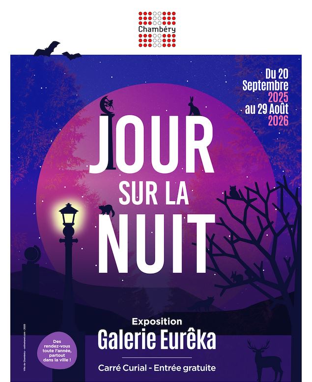 Visuel Expo Jour sur la Nuit - Mathieu Desailly