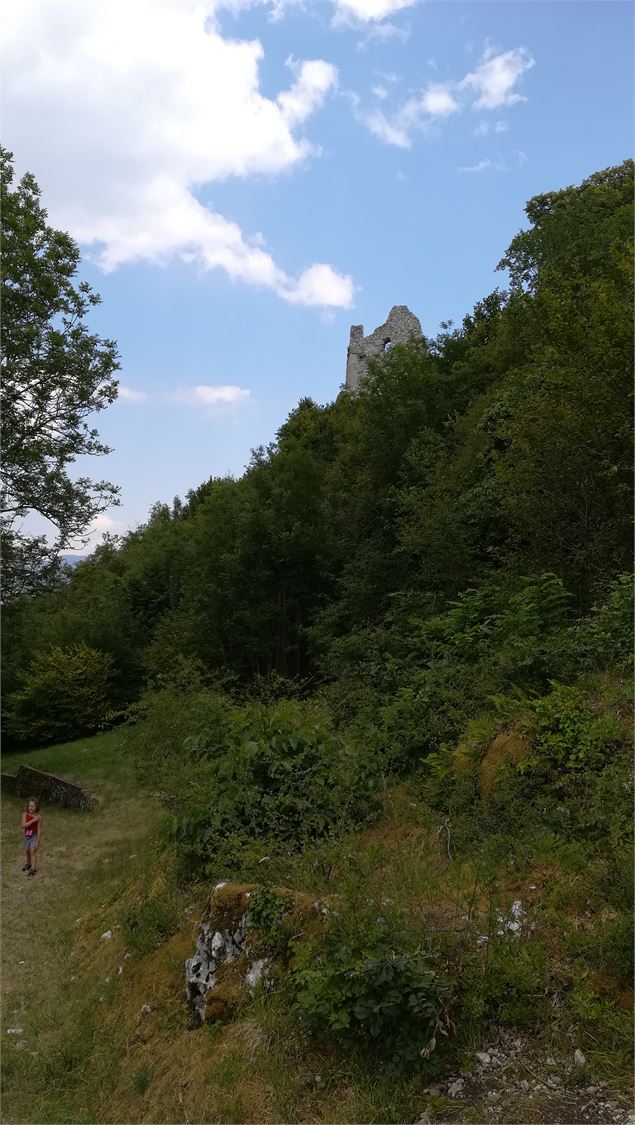 Visites guidées du village et des ruines du château de Chaumont