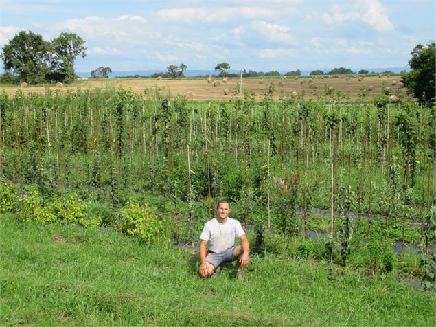 Les coulisses d'une pépinière en terre Bressane_Saint-Jean-sur-Reyssouze - Pépinières Figueredo