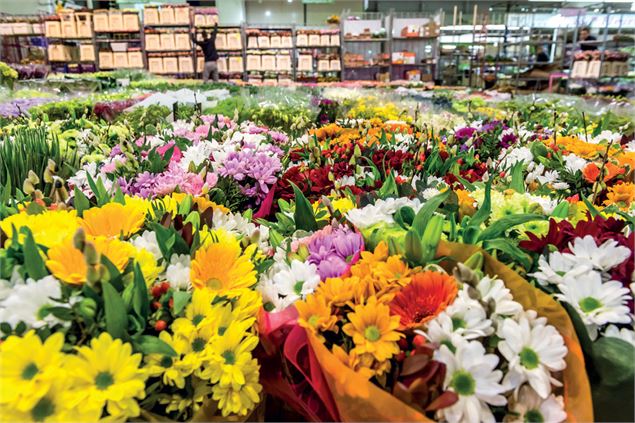 Le Marché aux plantes de La Rosière