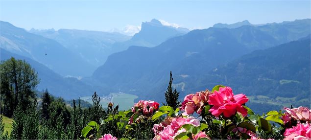  - OTsamoens