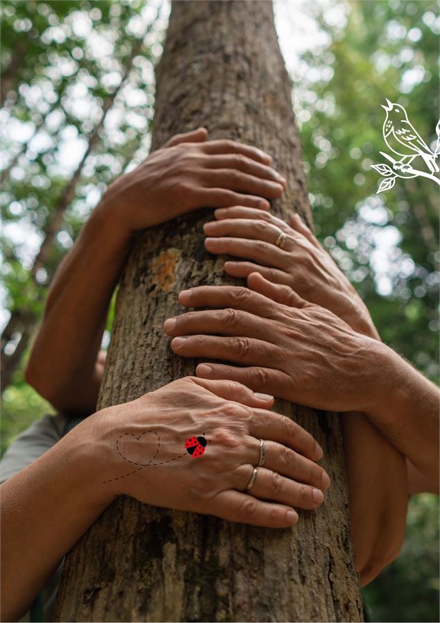 Sentir et toucher le vivant - Renc'arts BdL - @Asters (1)