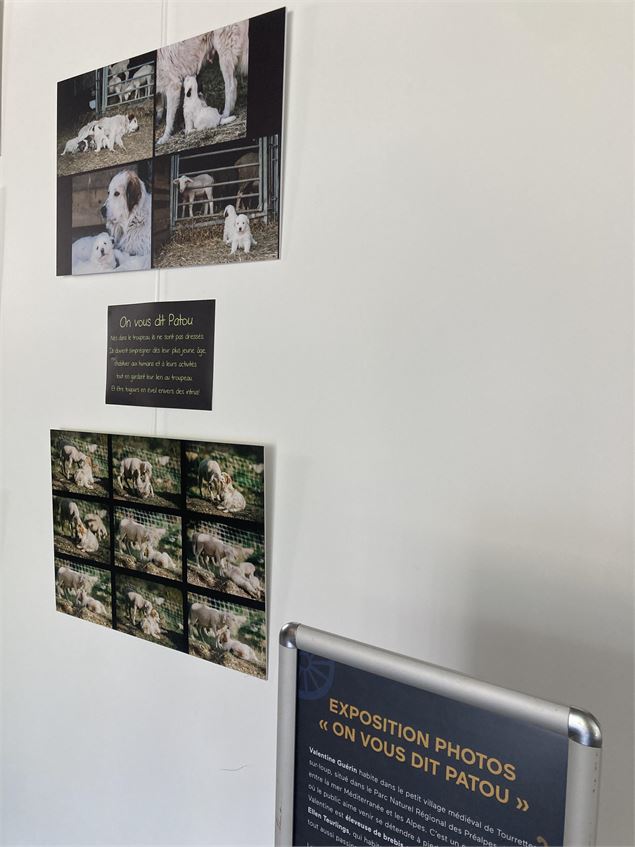 Expo Patou RDC - Ellen Teurlings
