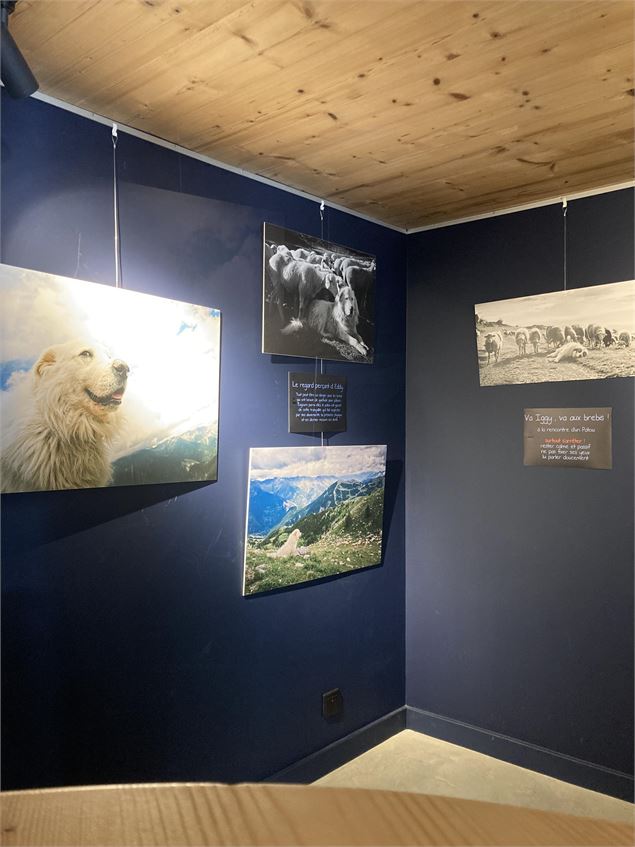 Expo Patou alcôve - Ellen Teurlings