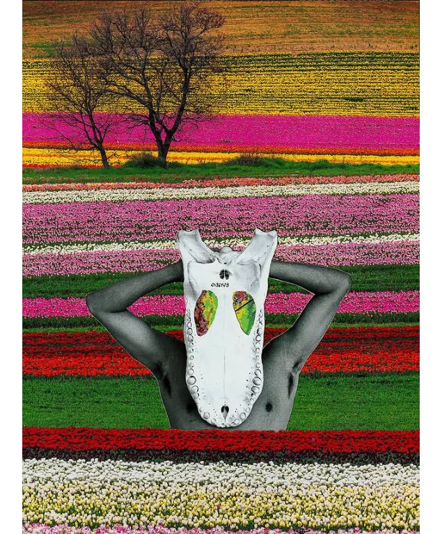 oeuvre ©Théo Chabrol