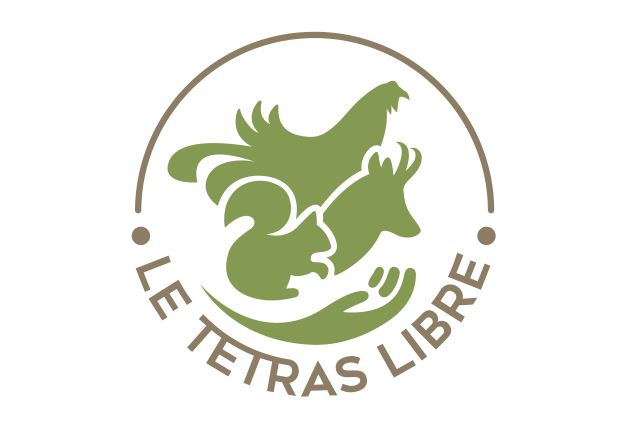 Jeu 