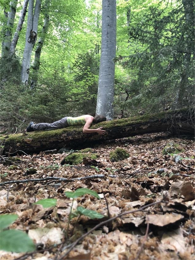Personne qui se repose en forêt - Respirelamontagne
