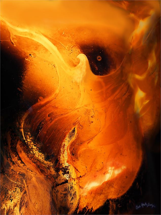 Expositions au caveau des Augustins - peinture et photos_Saint-Pierre-d'Albigny