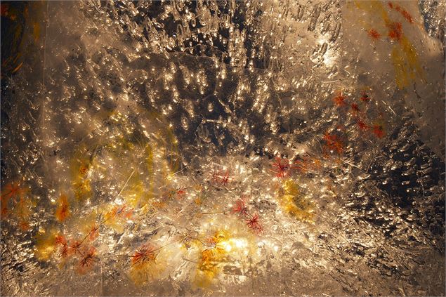 Expositions au caveau des Augustins - peinture et photos_Saint-Pierre-d'Albigny
