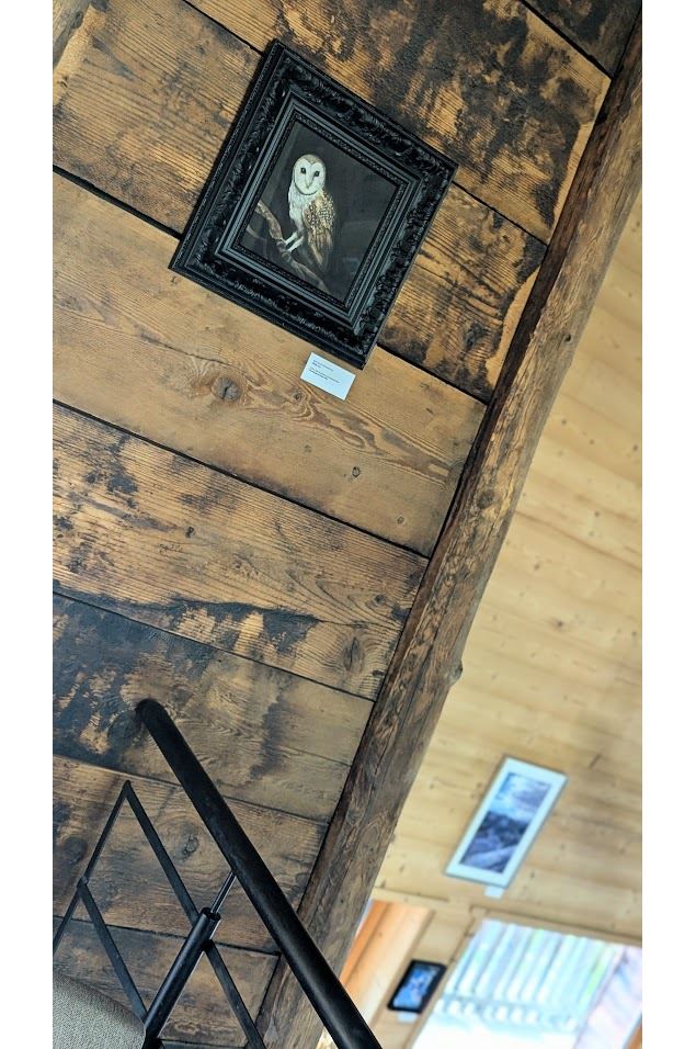 Exposition - L'Atelier dans les bois