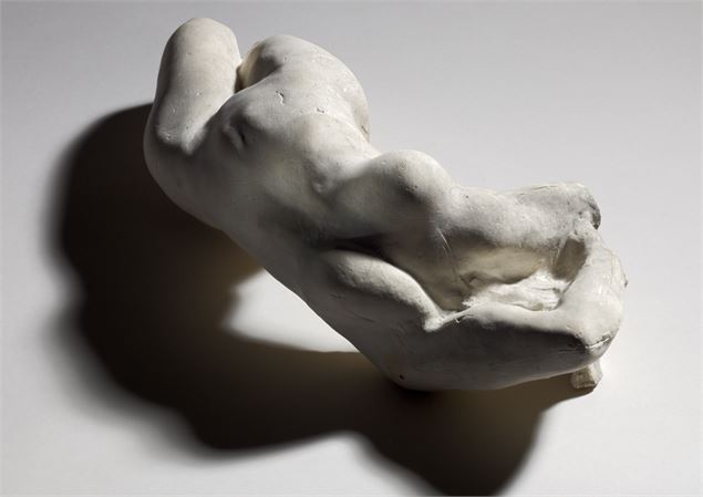 Torse d'adele