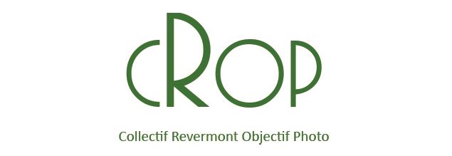 Logo CROP - CROP