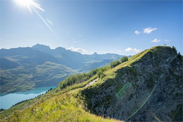Trail de la Frison-Roche - 25e édition