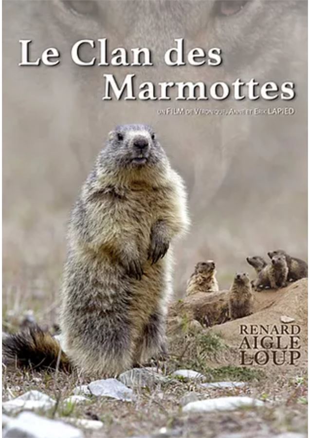 Le Clan des Marmottes