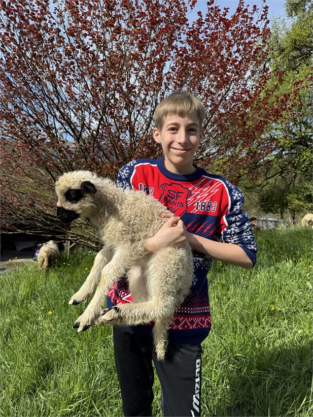 - Laurence Girard