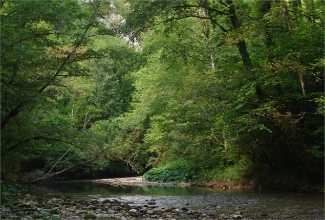 La rivière de la Valserine - OT Valserhône