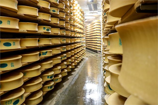 Fromagerie Coopérative Laitière des Arves - OT SSA